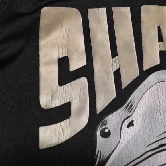 Wippette Boys Size 7 Swim & Beach 2-PC Set| Top & Trunk - Picture 4 of 10